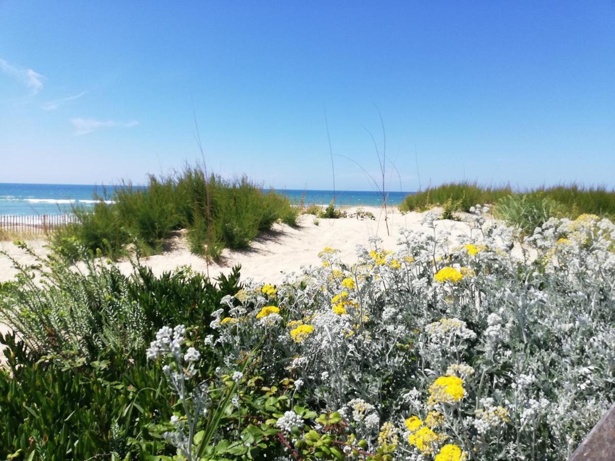 Camping Mobilhome Landes *